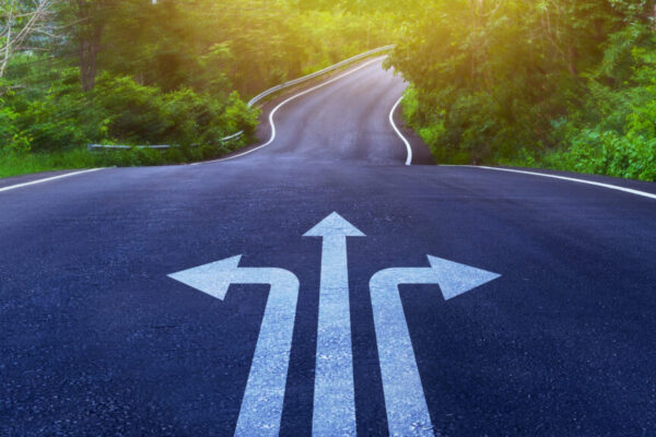 Road with multiple directional arrows surrounded by trees