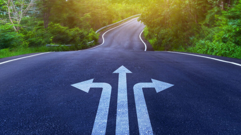 Road with multiple directional arrows surrounded by trees