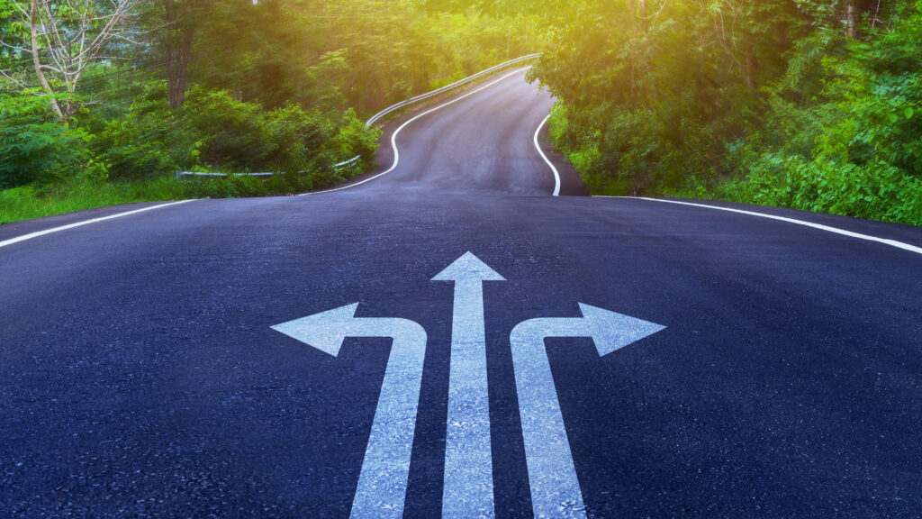 Road with multiple directional arrows surrounded by trees