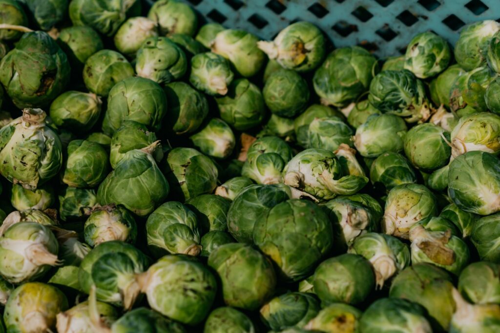 Sprouts Farmers Market expansion