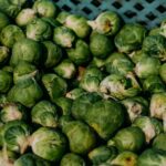 Sprouts Farmers Market expansion